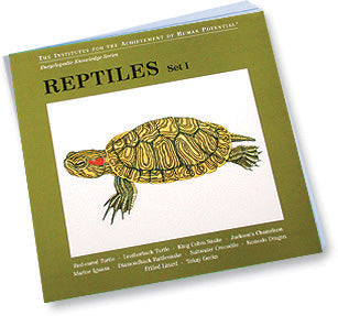 REPTILES, Set I, Bit of Intelligence Cards